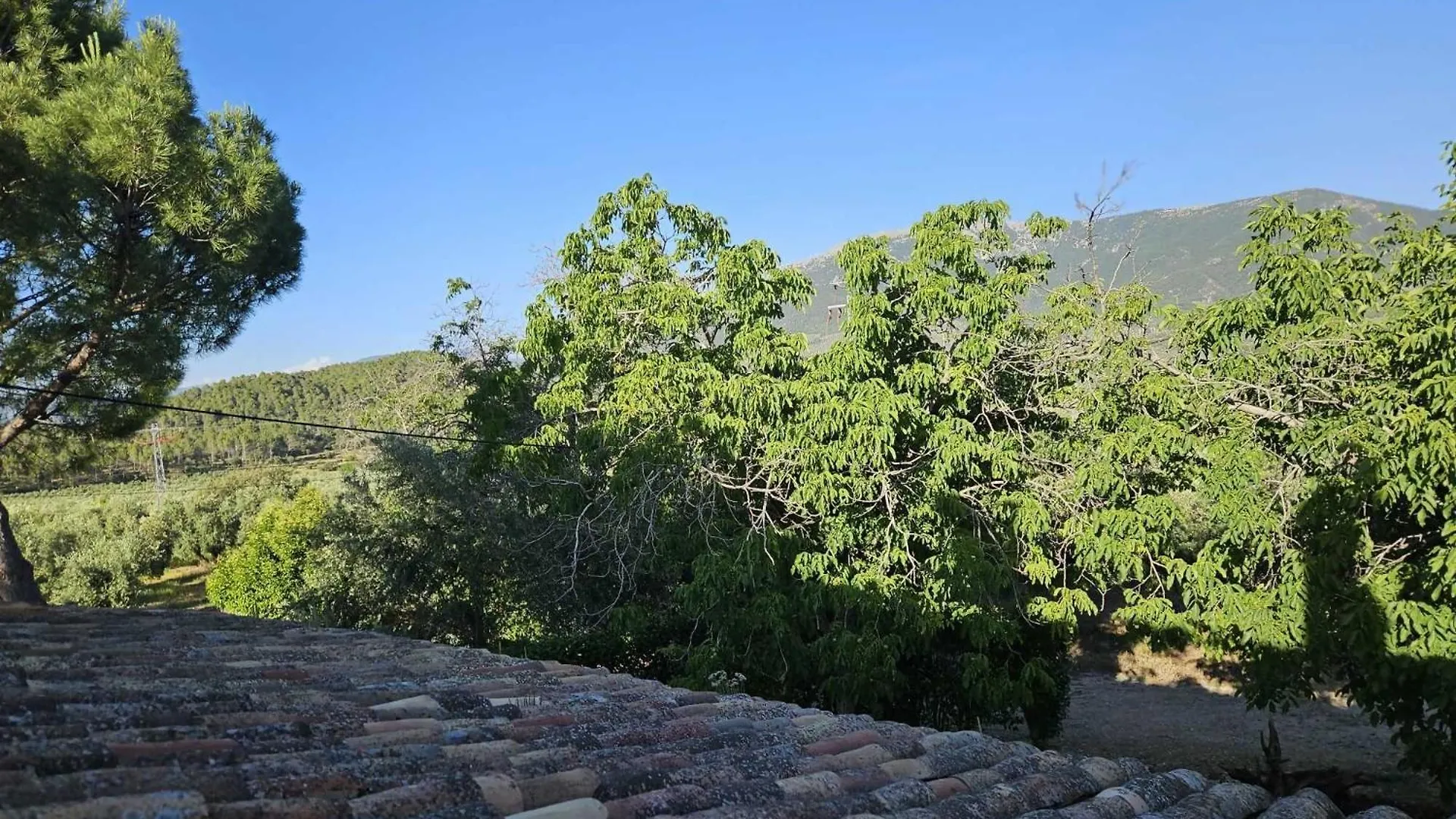 Cortijo Del Cura By Travel Home Cortijos Nuevos 0*,