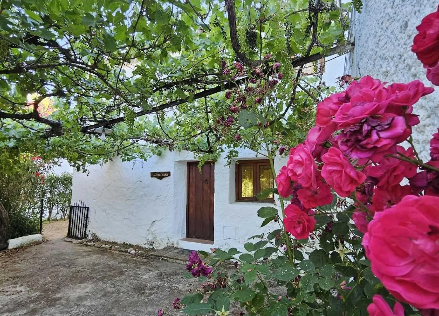Hotel Cortijo Del Cura By Travel Home Cortijos Nuevos Spain