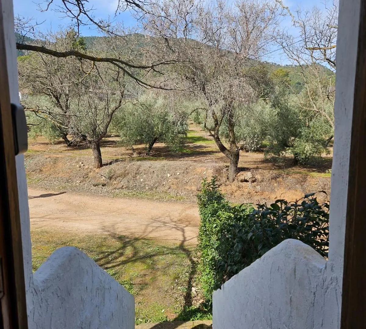Hotel Cortijo Del Cura By Travel Home Cortijos Nuevos