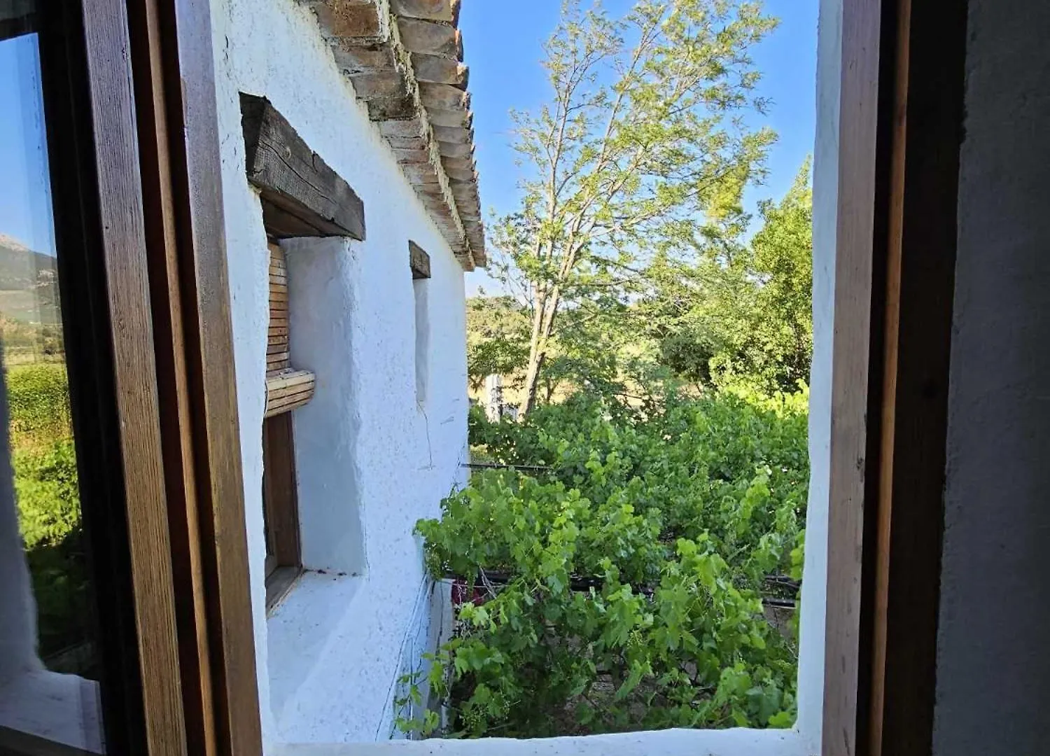 Cortijo Del Cura By Travel Home Cortijos Nuevos