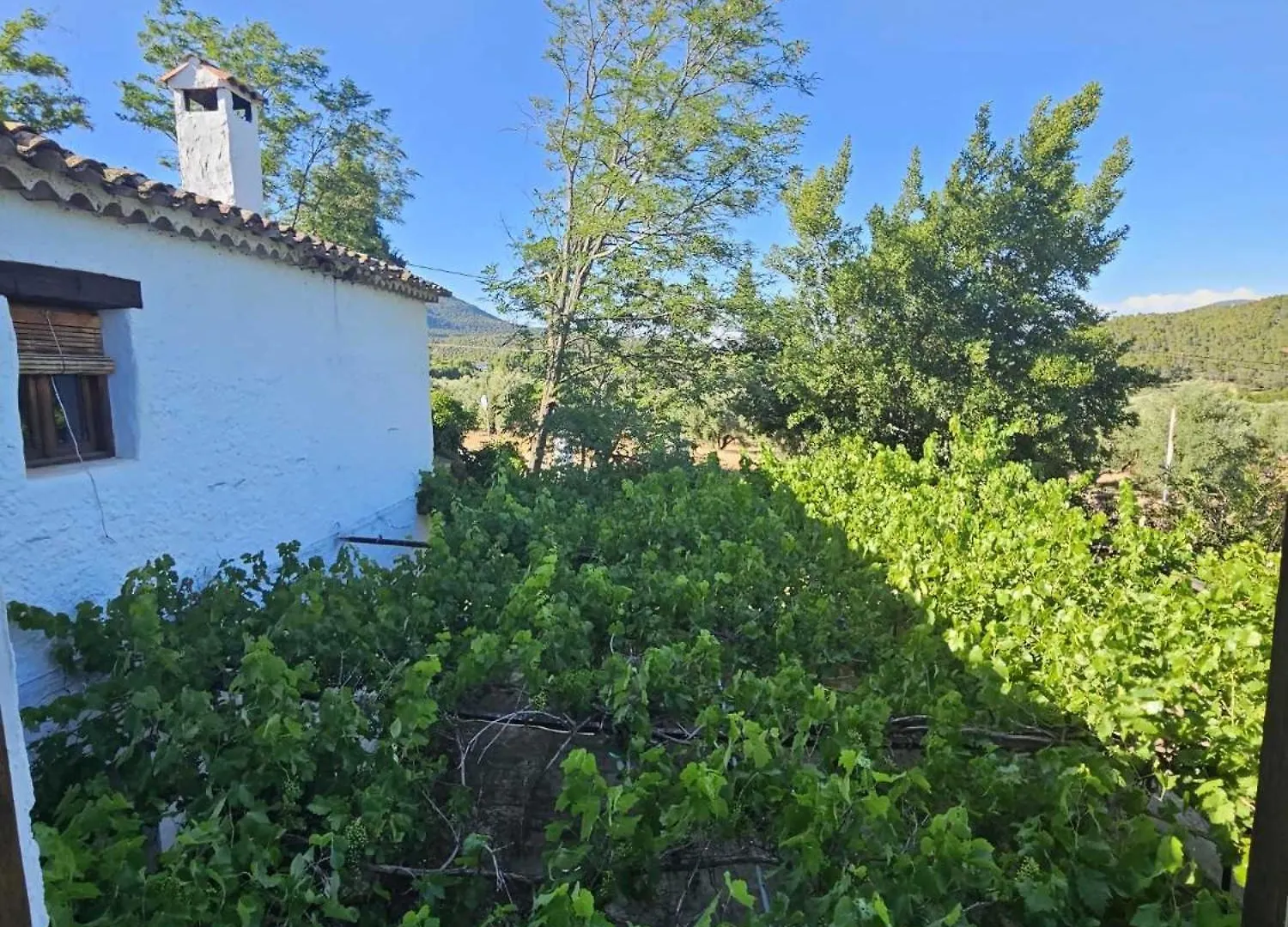 Cortijo Del Cura By Travel Home Cortijos Nuevos 0*,  Spain